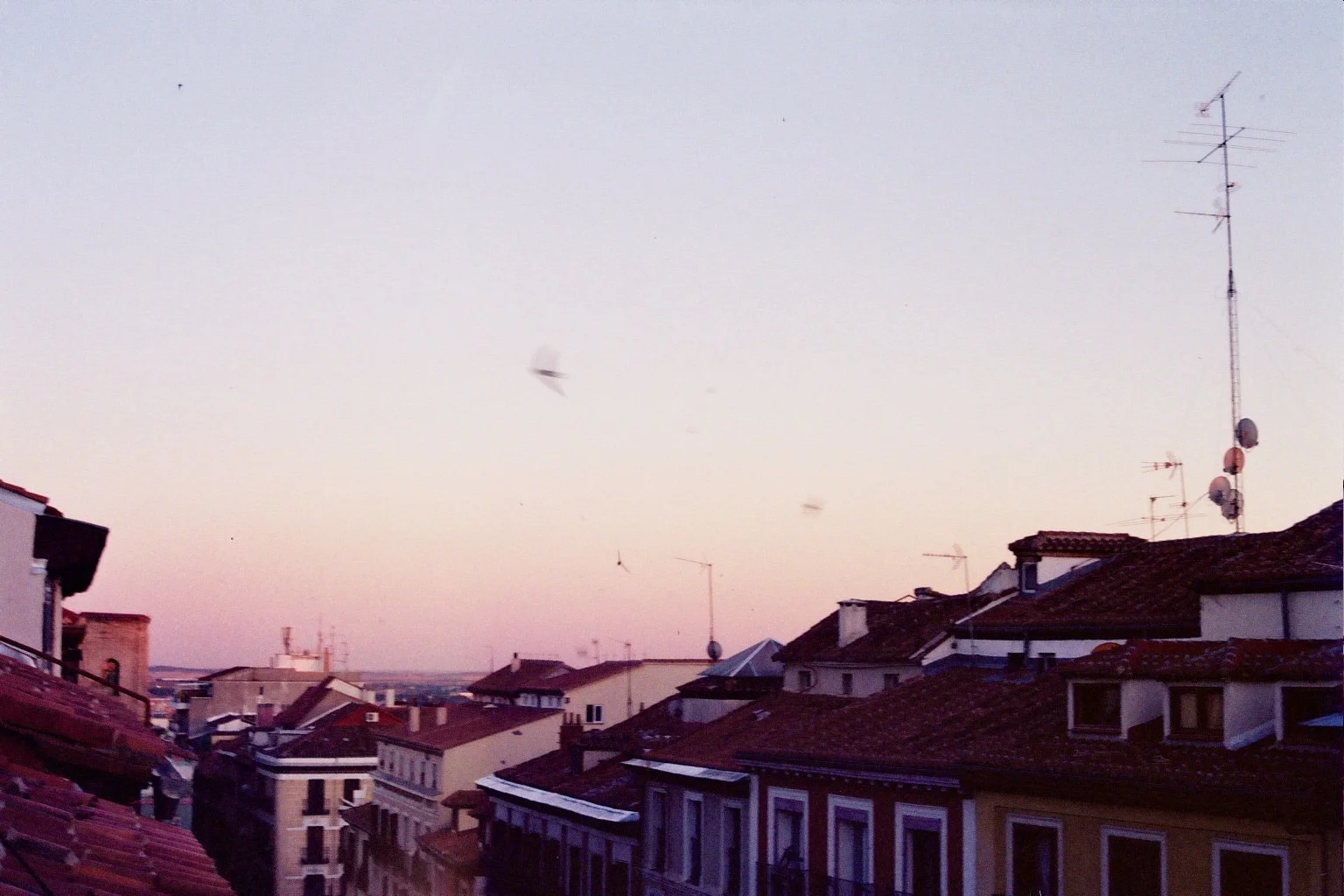 10A_0173.jpg