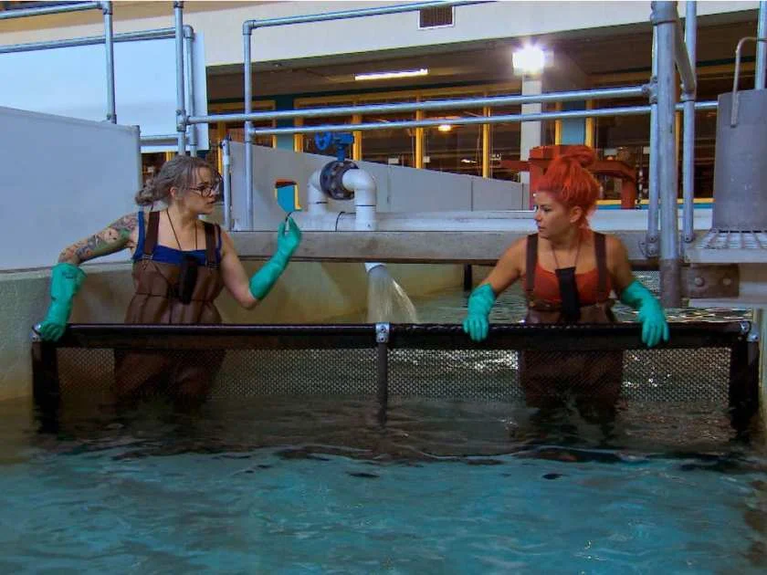 Weekly News Recap: July 8, 2016