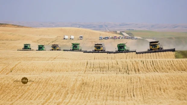 Weekly News Recap: August 25, 2017