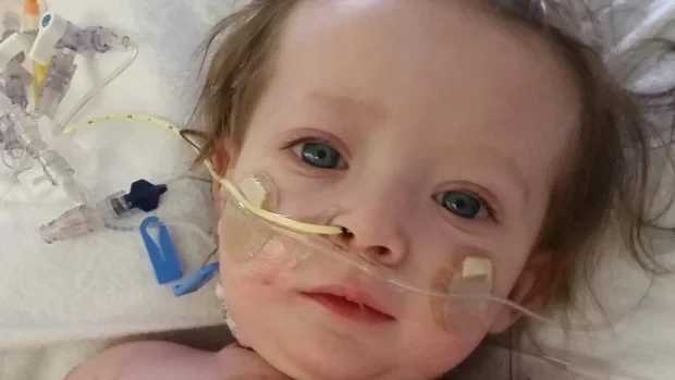 Weekly News Recap: November 10, 2017