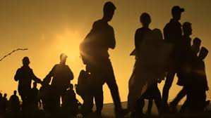 Weekly News Recap: November 16, 2018