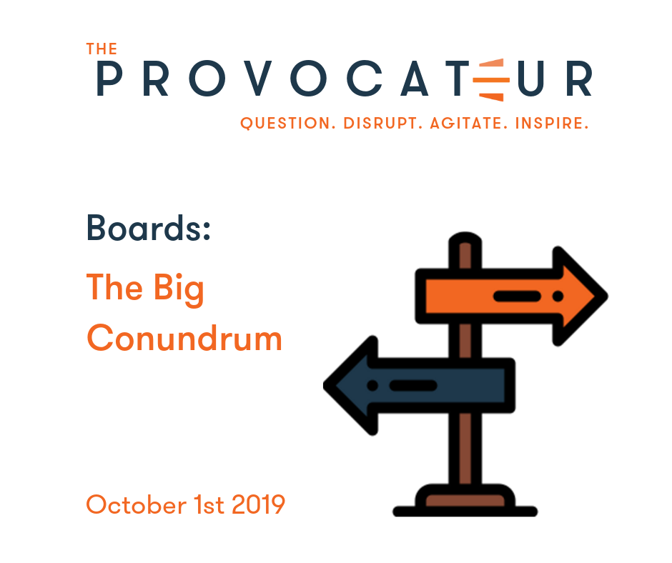YOUR NPO HAS A BOARD — NOW WHAT? OTHERWISE KNOWN AS A CONUNDRUM