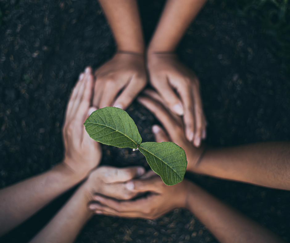 Episode 22: Generations of Generosity: A Discussion with Two Generations of Two Calgary Families