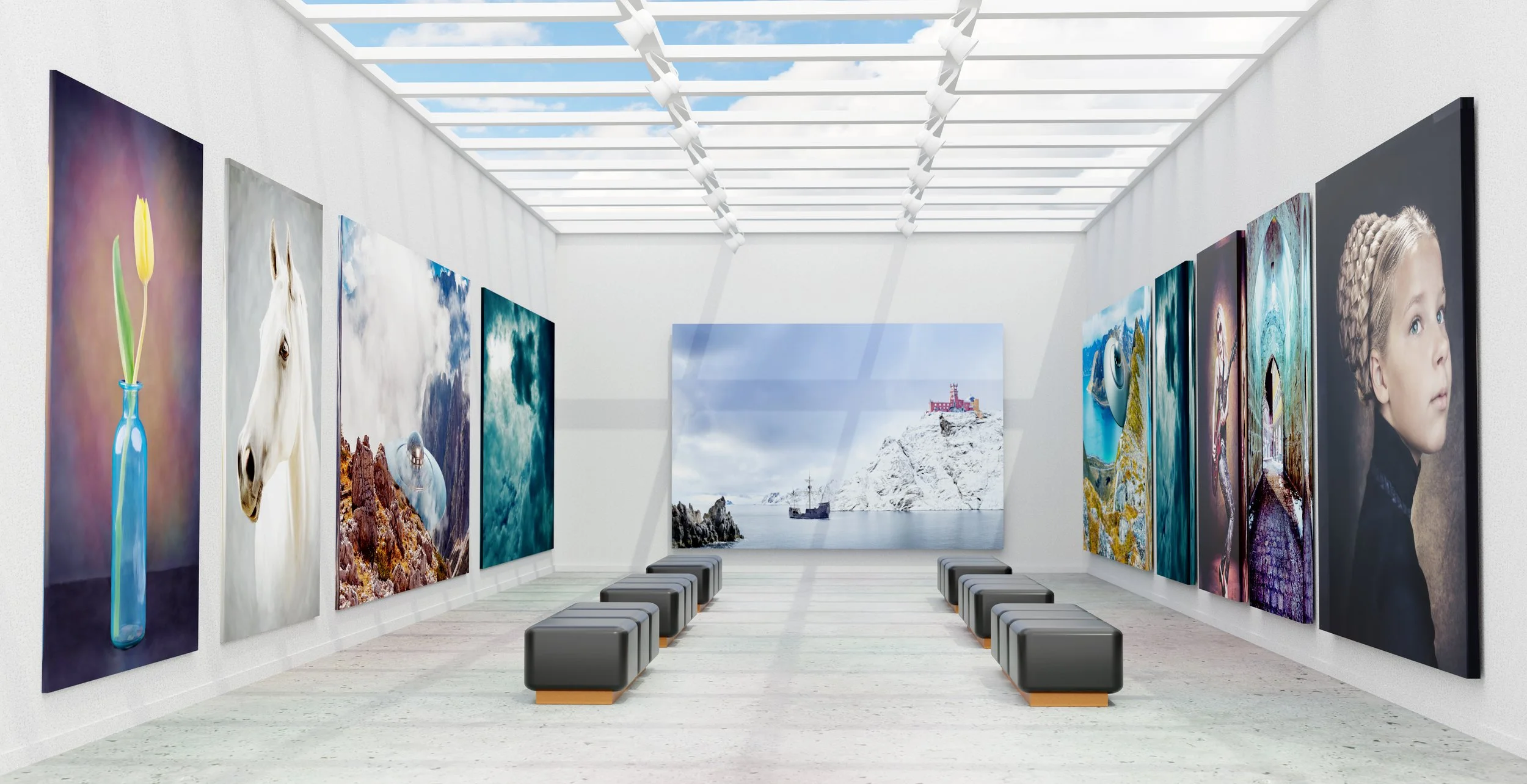 Current Issues in Canadian Museums and the Non-Profit Sector   