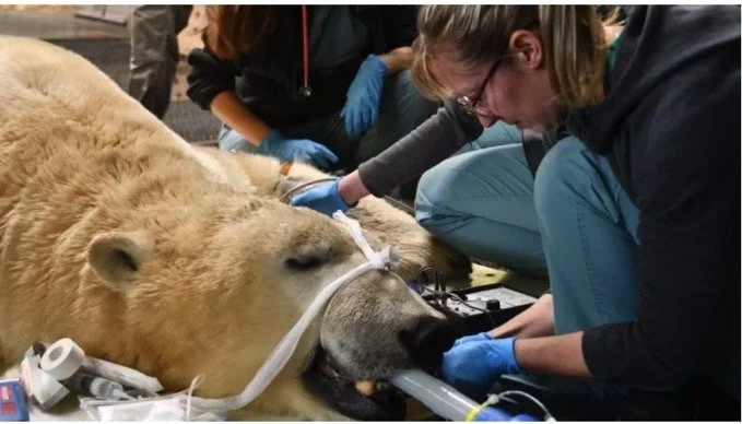 Weekly News Recap: February 10, 2023    