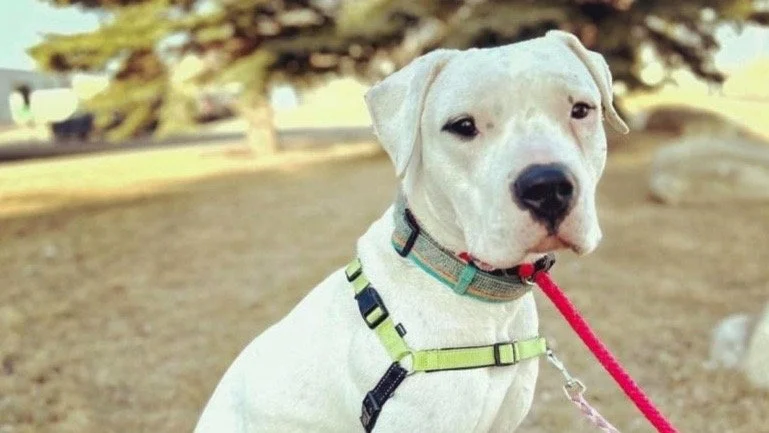 Weekly News Recap: September 1, 2023 