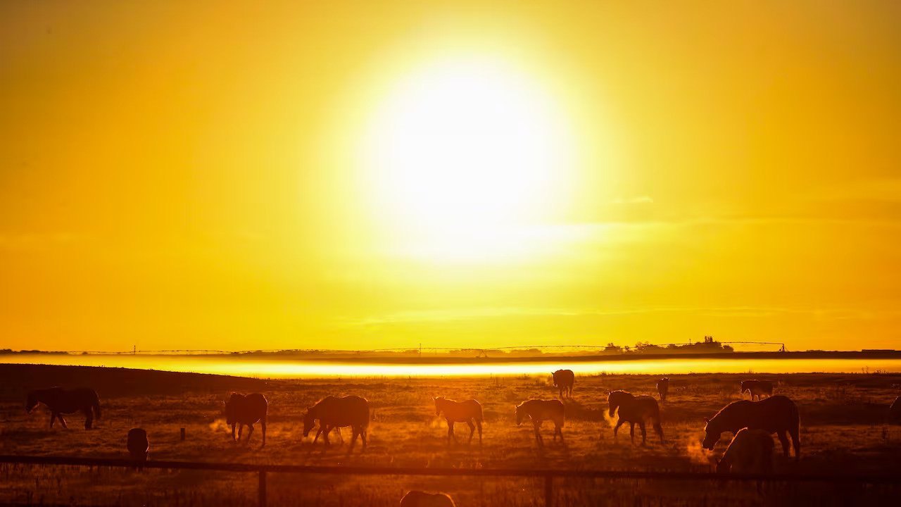 Weekly News Recap: April 24, 2026