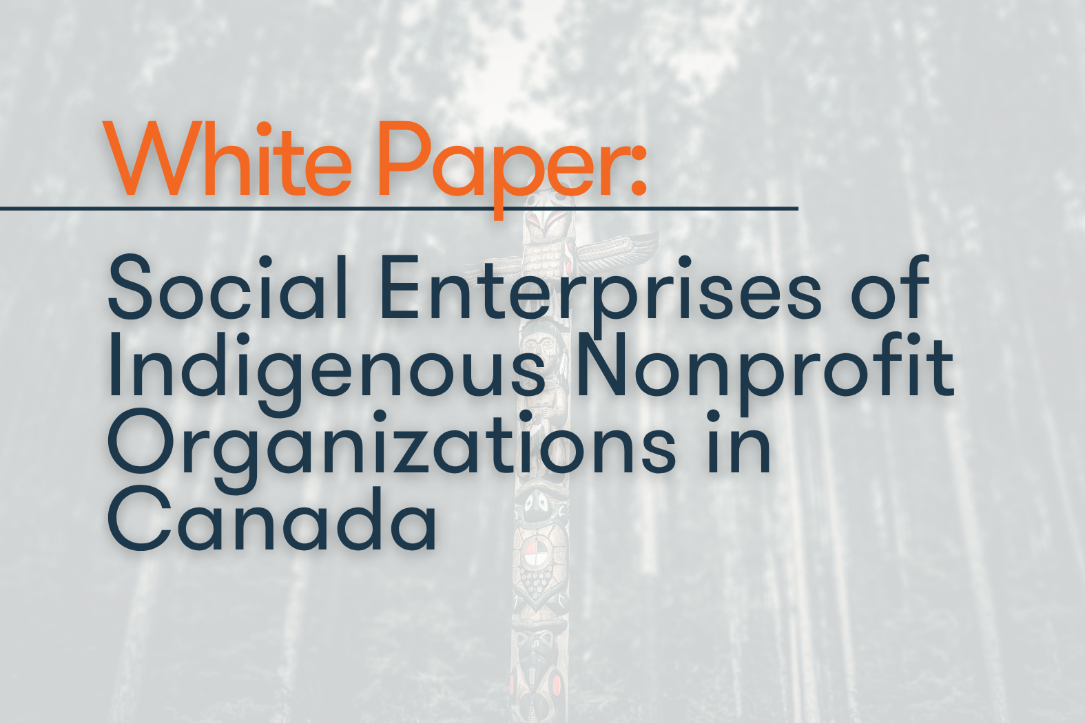 Social Enterprises of Indigenous Nonprofit Organizations in Canada