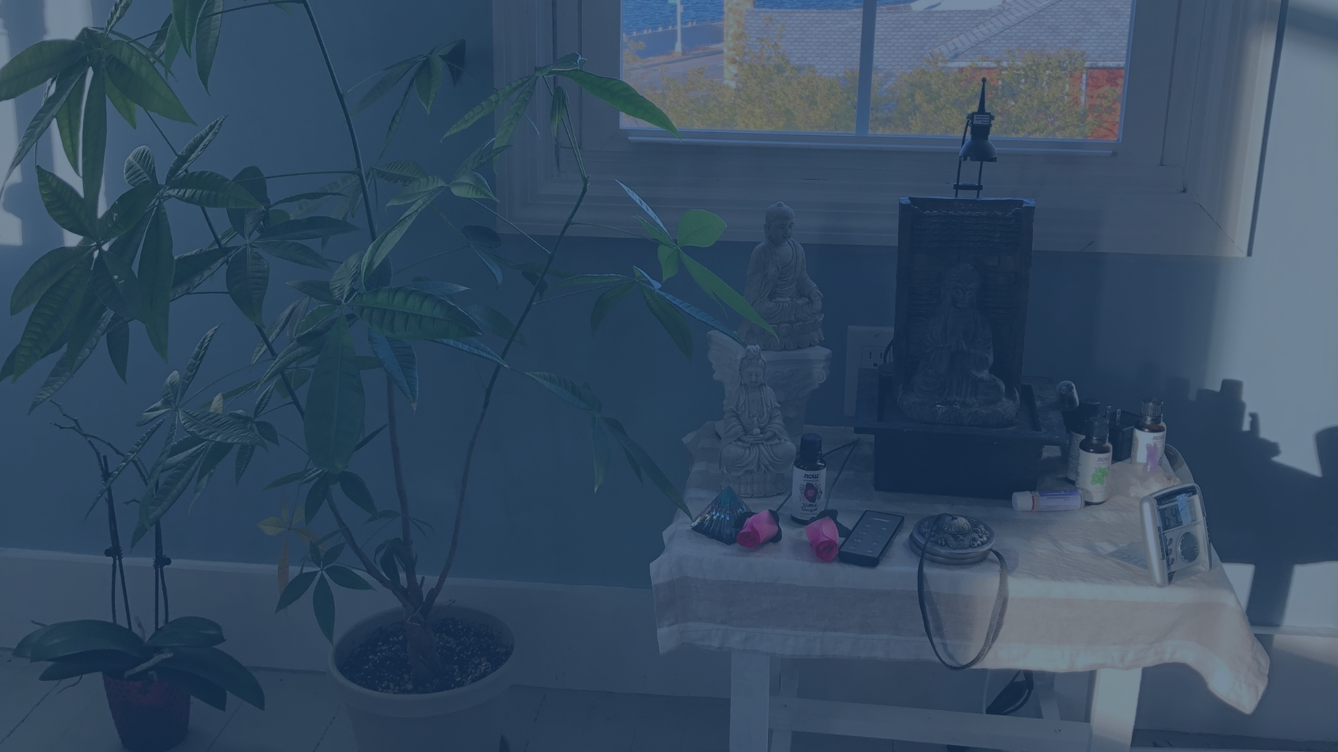 Ocean-Bliss-Alter-Banner.png