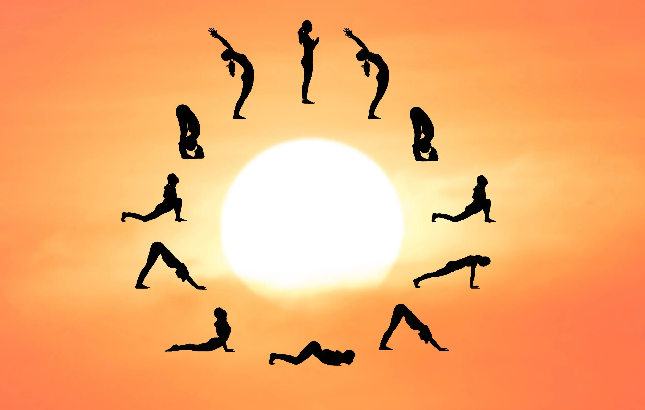 January 2023 Studio Focus: SUN SALUTATIONS (Surya Namaskar)