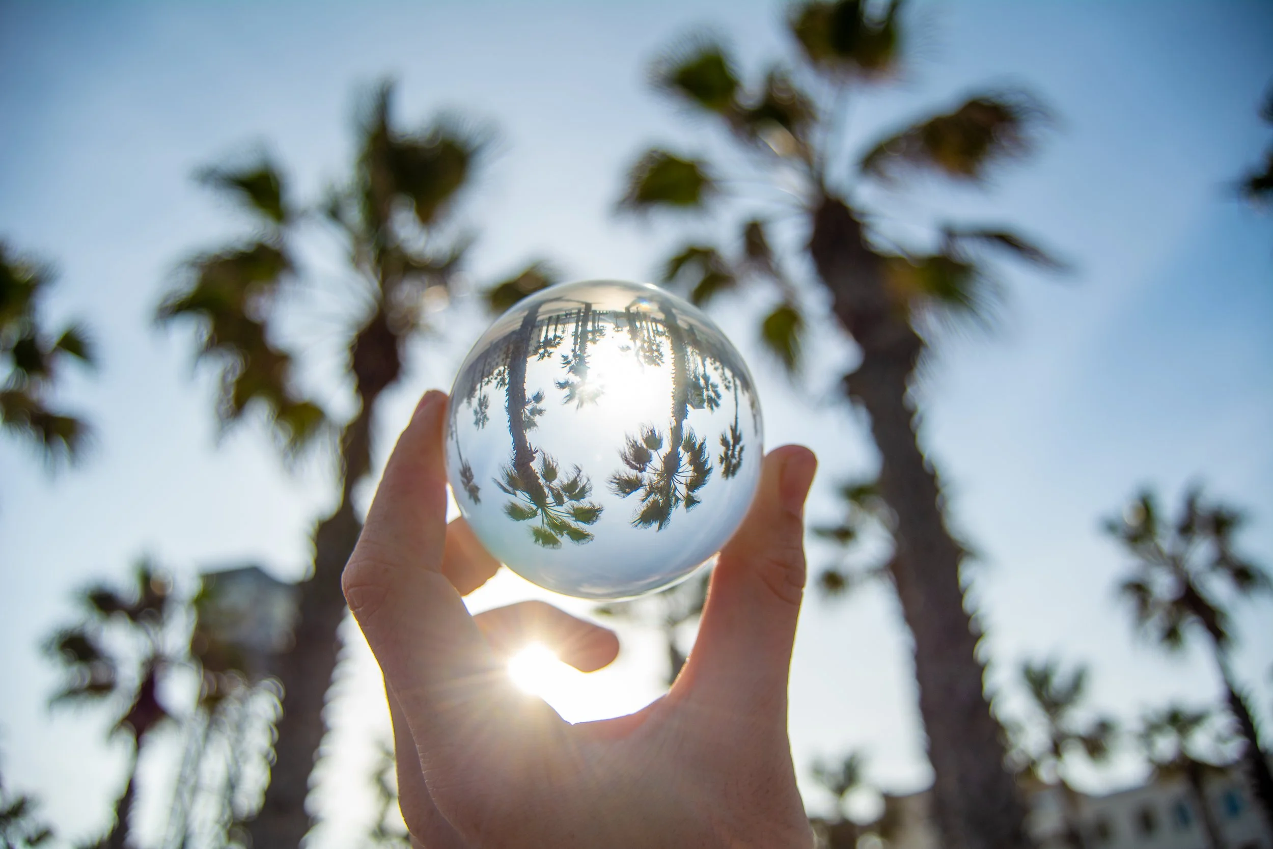 A Blissful Life 2/16/23: Your Thoughts Create Your Reality