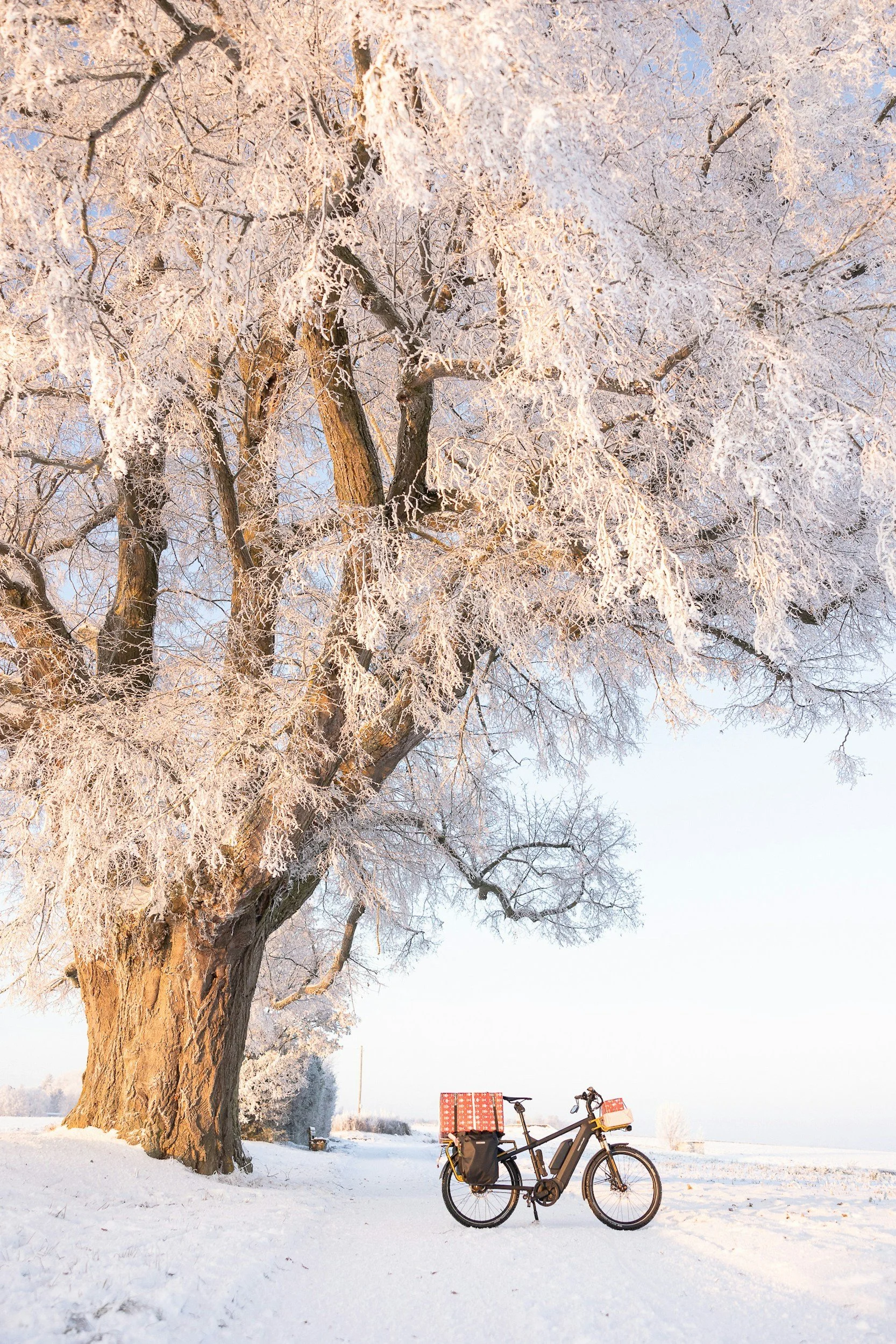 A Blissful Life 5/12/25: Trusting The Rhythms Of Life