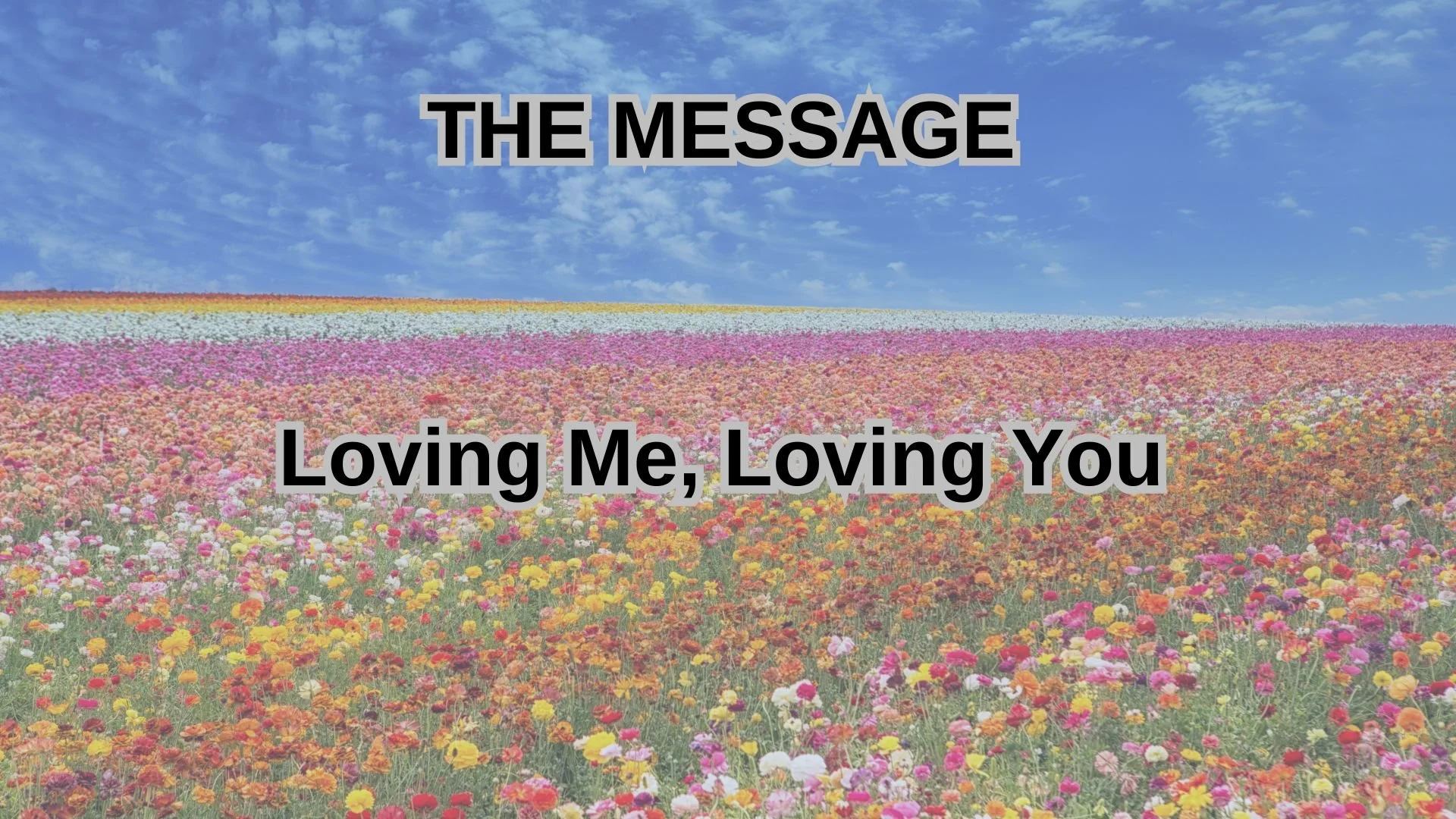 Loving Me, Loving You
