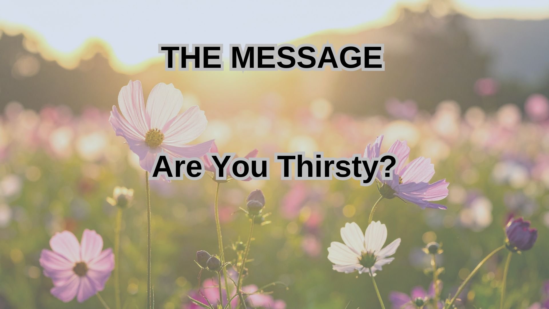 Are You Thirsty?