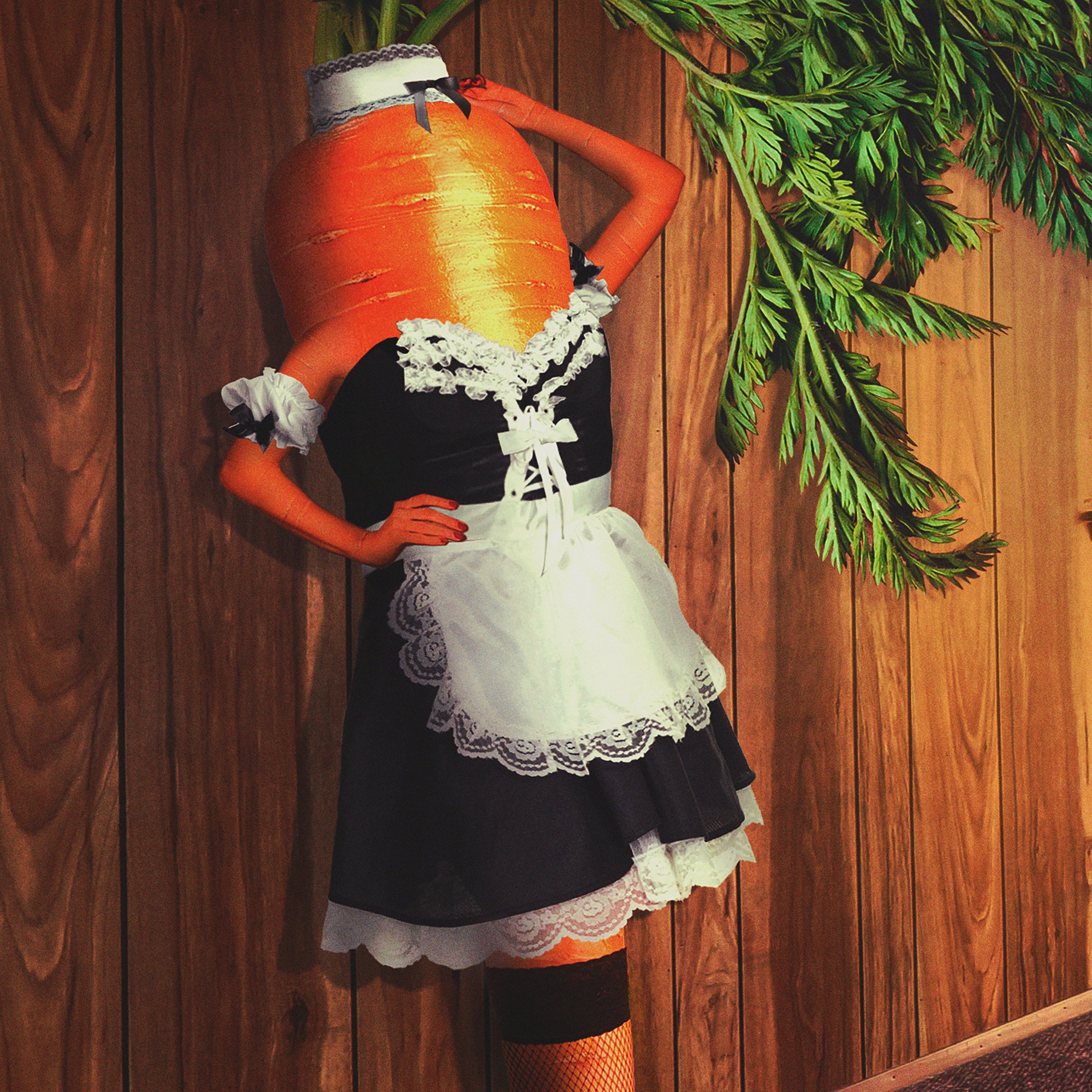 Carrot Pinup Final 12x12.jpg