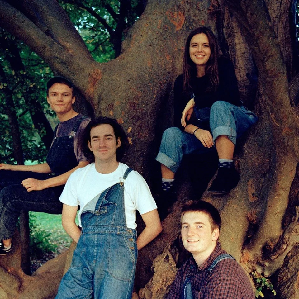 treeclimbers.jpg