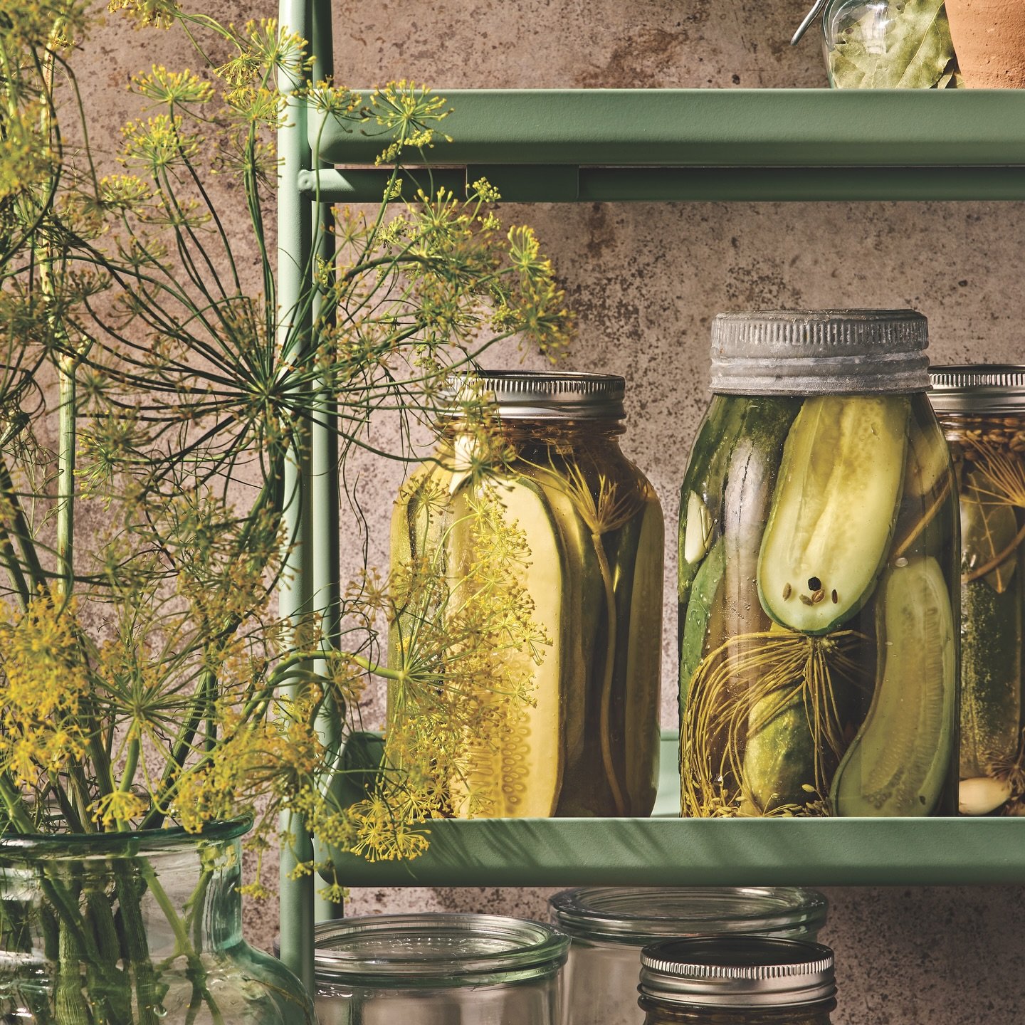 Seize the day and go make a batch of my Refrigerator Dill Pickles! Simple, straightforward and oh so snappy! Recipe in the summer issue of @lcbofoodanddrink 
AD: @cathycicchini_studio 📷: @maya_visnyei 
food styling: @lindsayguscott props: @staceysmi