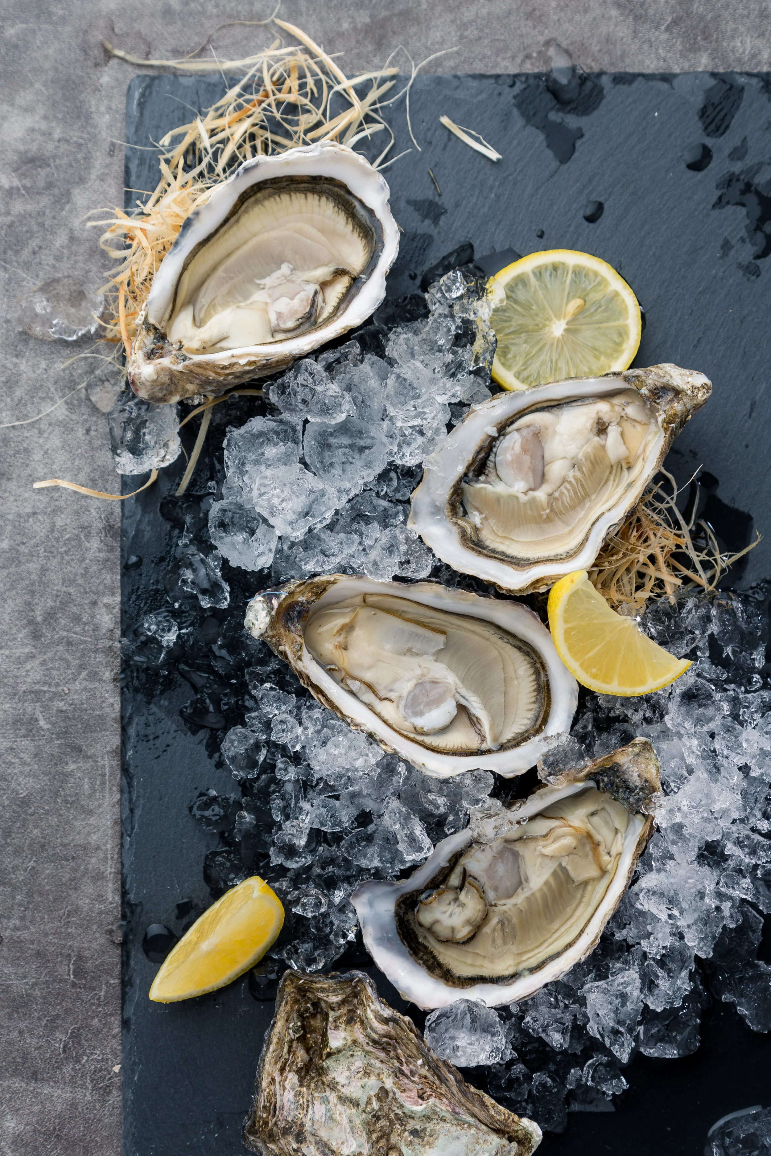 W&M Shuck-It Email - For PC.jpg