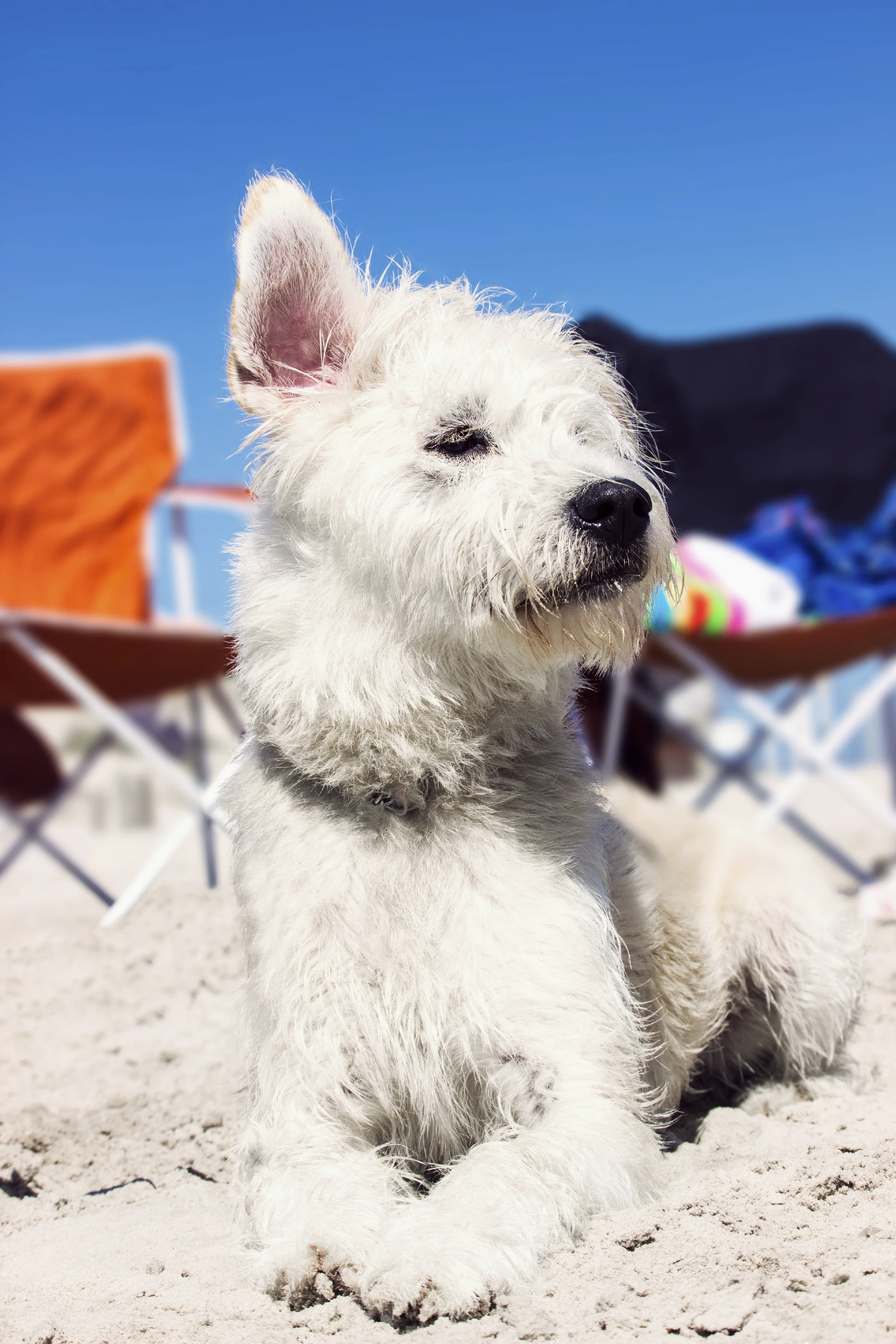 iStock_000064202125_Full.jpg