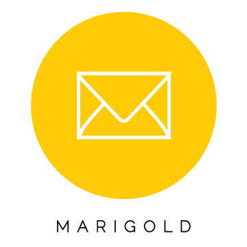 Marigold.jpg