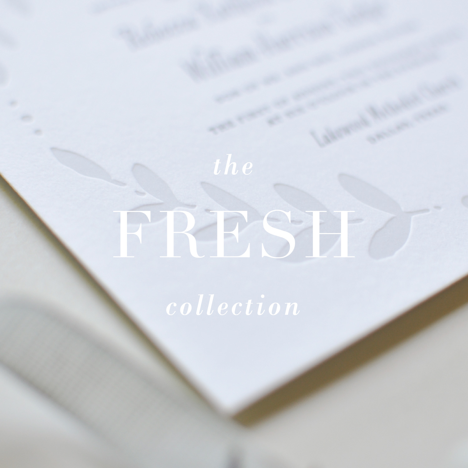 The Fresh Collection_Lauren Chism Fine Papers-01.jpg