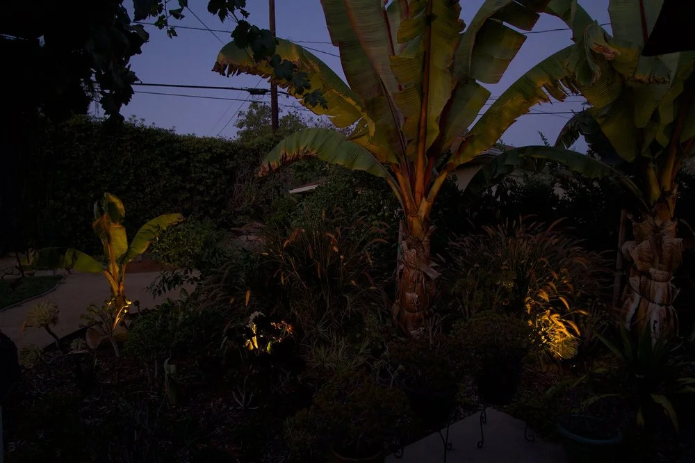 LED landscape lighting.jpg