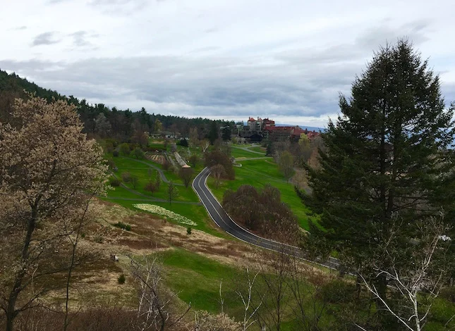 New Paltz