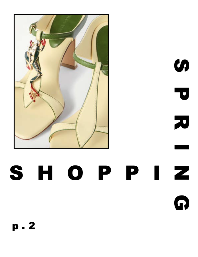Shopping Guide p.2.png