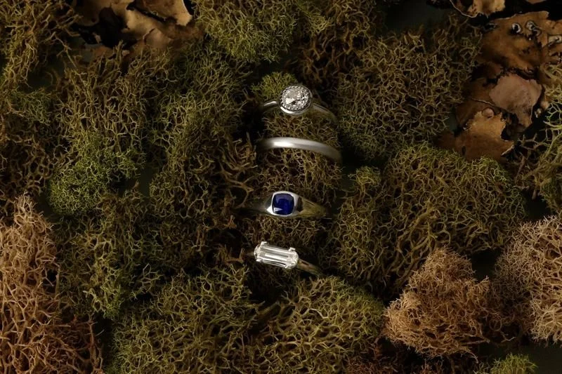 sararey platinum moss.jpeg