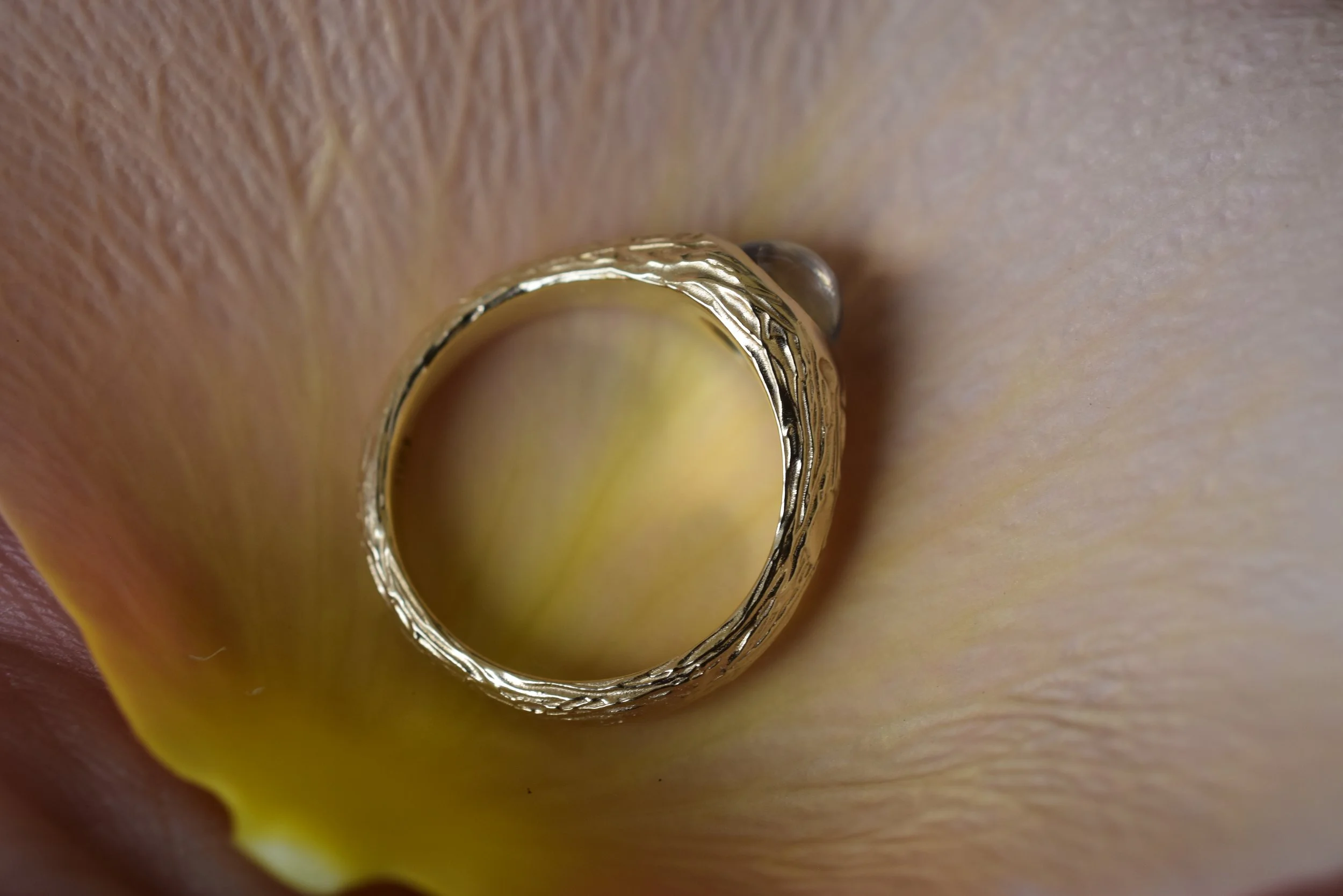 rainbow moon petal 5.JPG