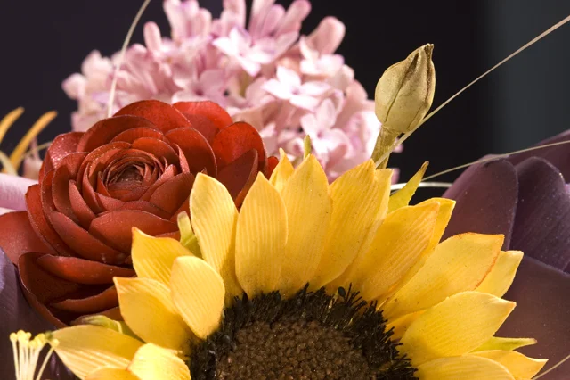  photo..jill lotenberg 