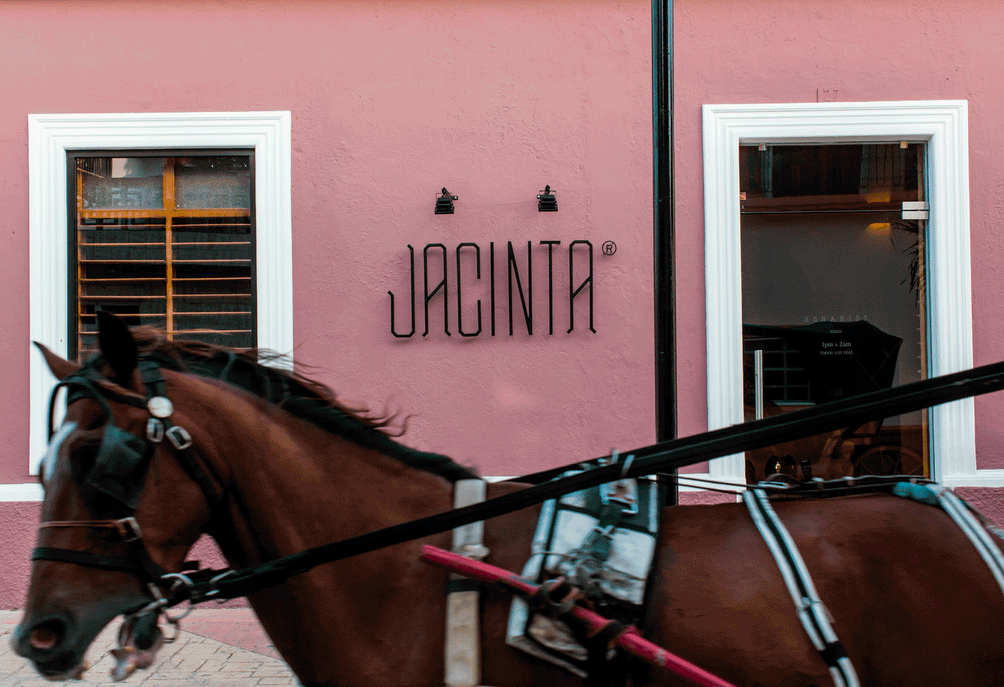 Jacinta - Branding