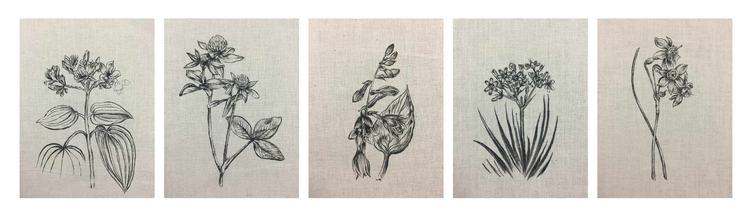 hand-drawn images on cotton, before embroidery
