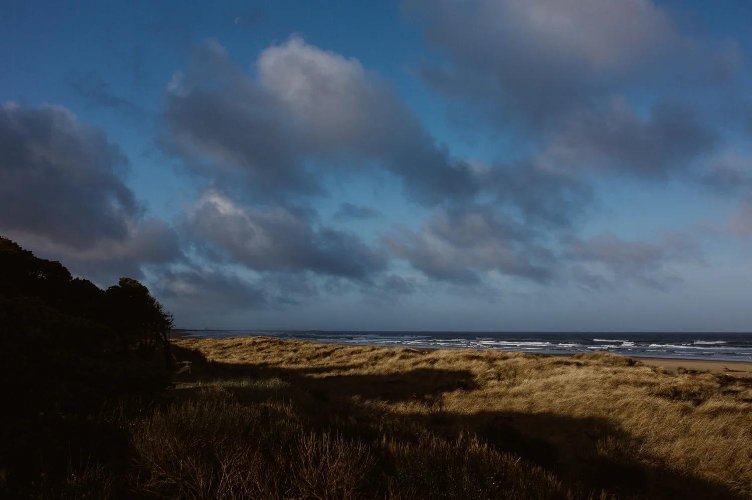 pacific-northwest-roadtrip-travel-photographer 33.jpg