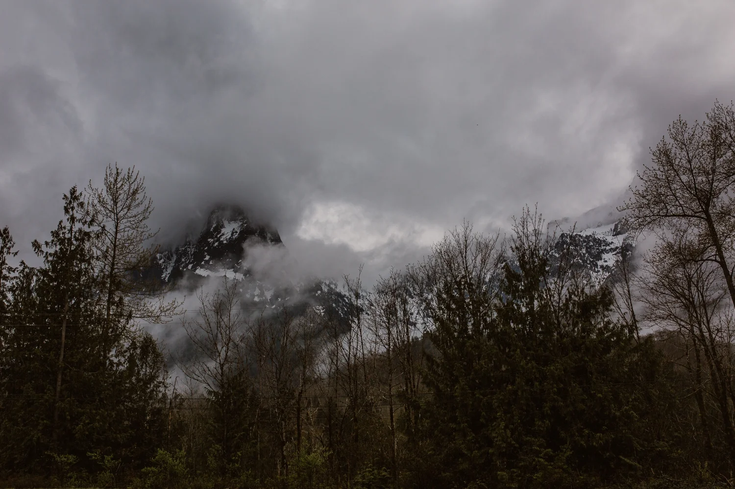 pacific-northwest-roadtrip-travel-photographer 62.jpg