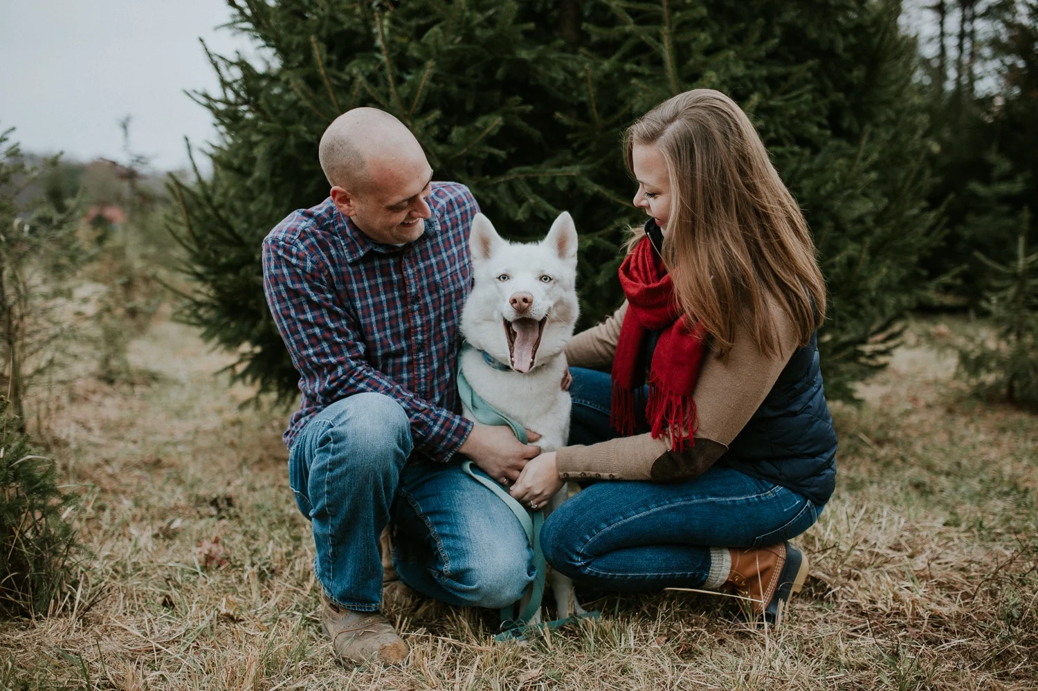washington-dc-christmas-tree-farm-engagement-photographer+4.jpg