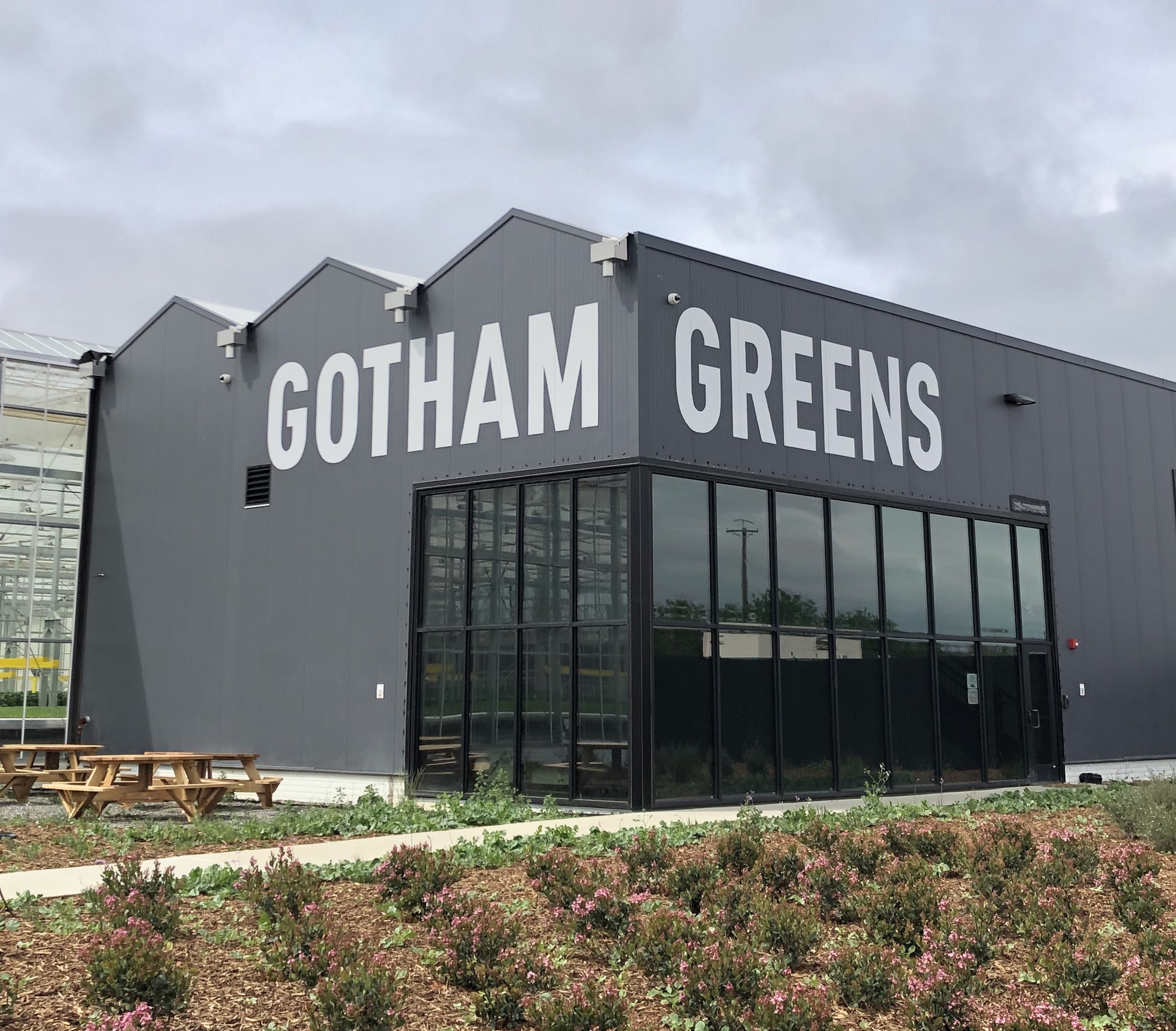 Gotham Greens Davis CA