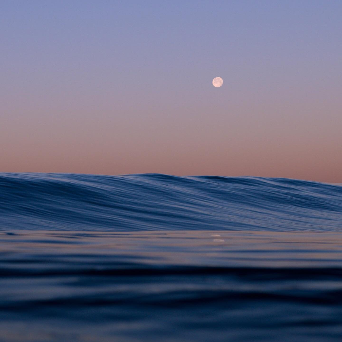 Moonset and the rising sun.
&bull;
&bull;
&bull;
#dawn #california #moonset #firstlight #dawndays #dawnpatrol #sunrise #wormmoon #swell #surf #ocean #waves #emptywaves #surfculture #nvsurf #waterphotographer #wavephotography #surfphotography #cinemat