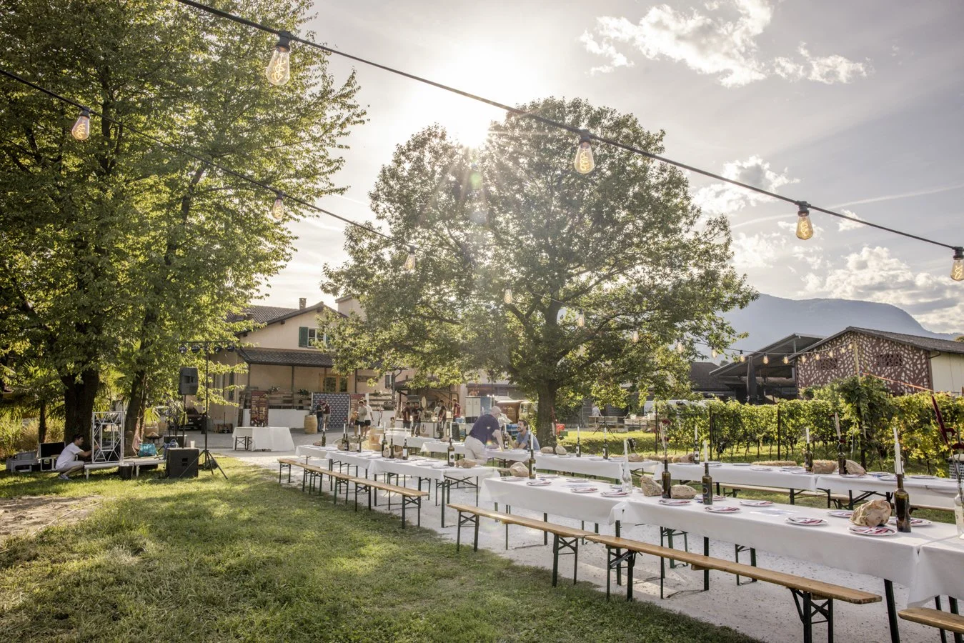 RTLocarno_2026-1.jpg