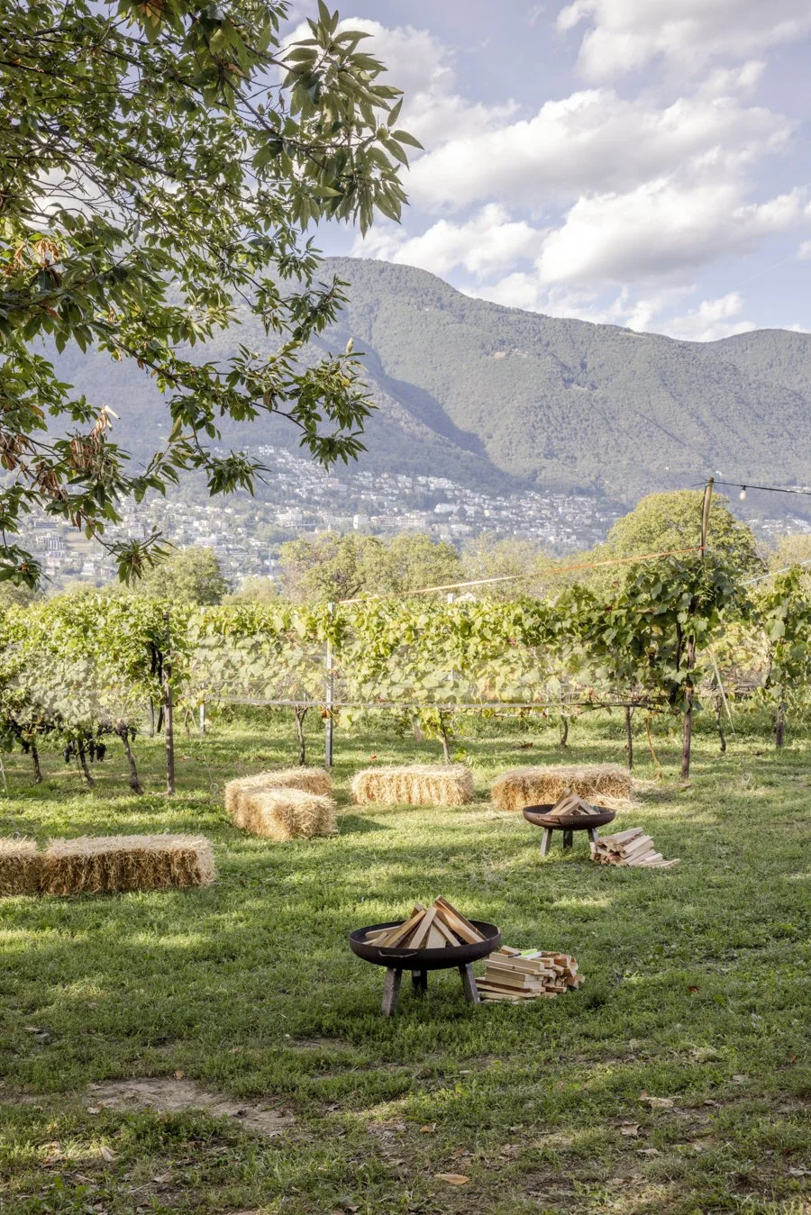 RTLocarno_2026-6.jpg