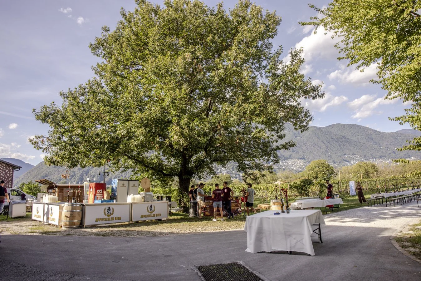 RTLocarno_2026-3.jpg