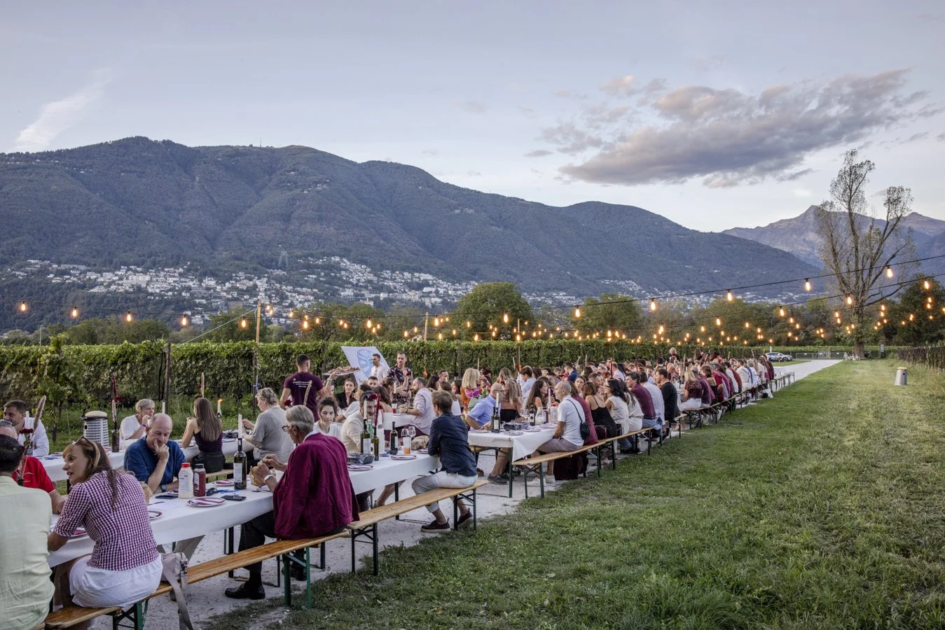 RTLocarno_2026-110.jpg