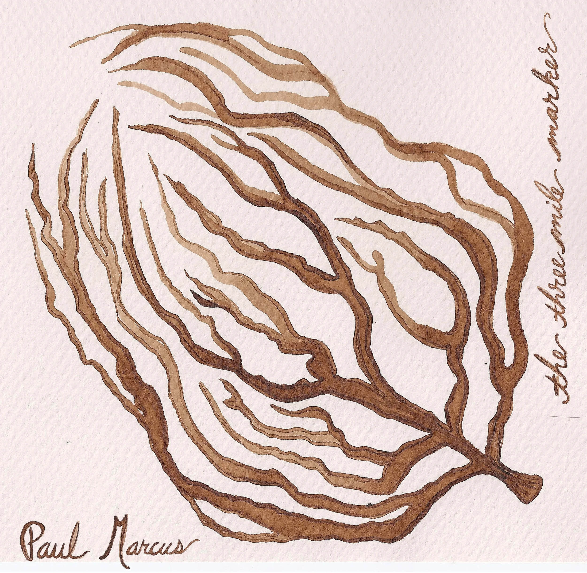 PM_cover3.jpg