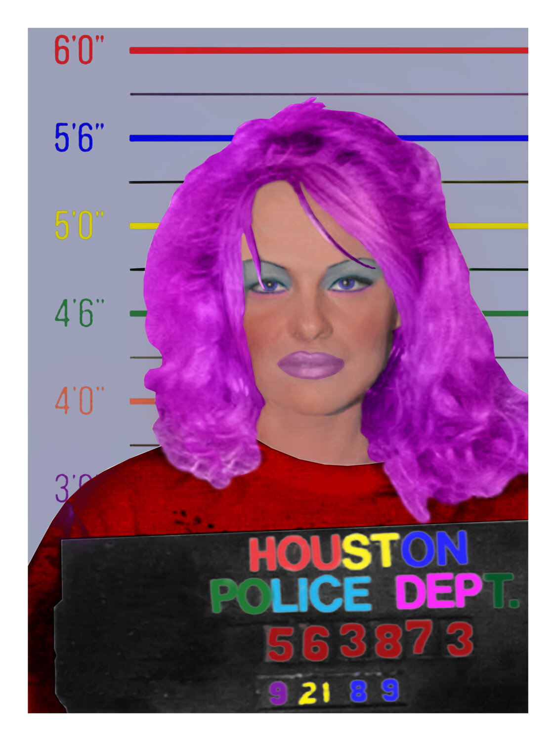 Pamela Andersen Mugshot