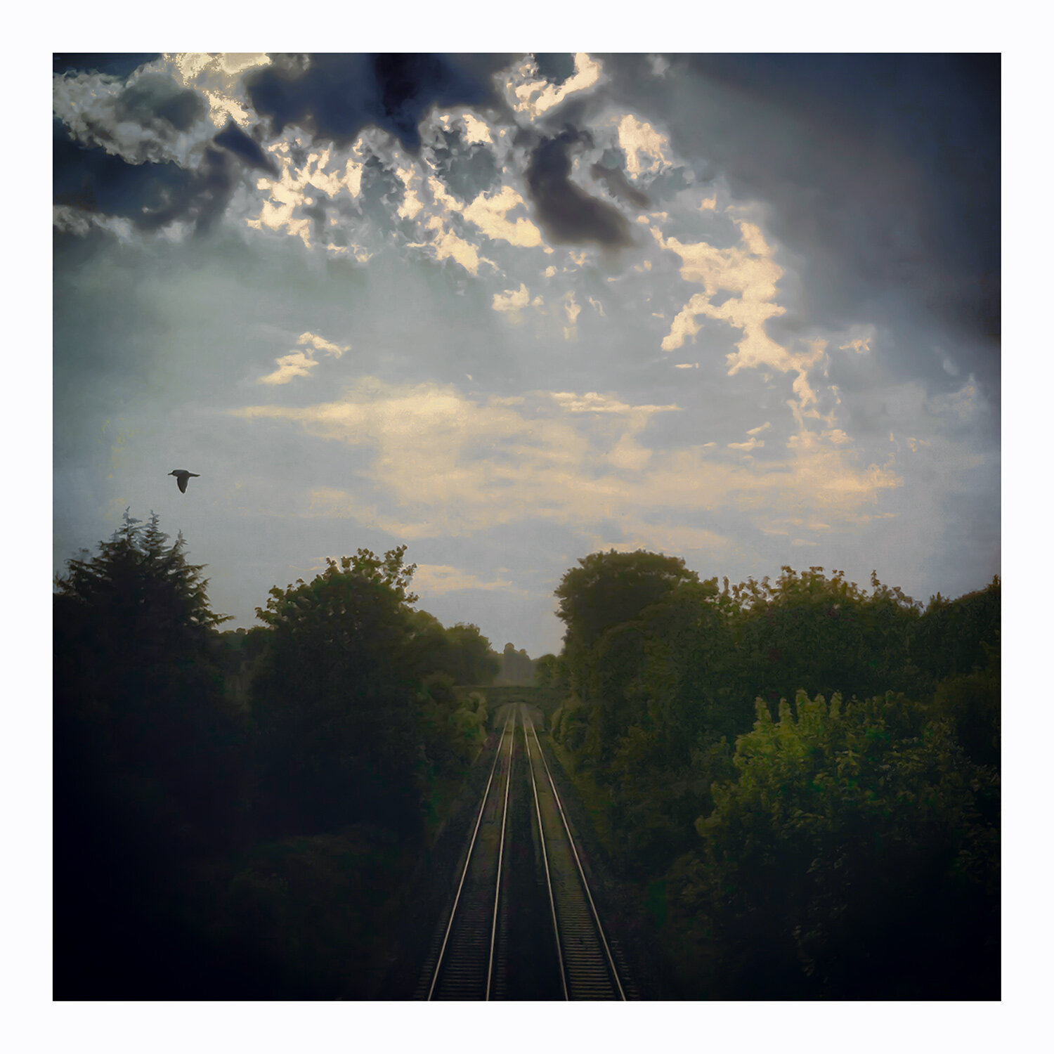 Train Tracks at Oldfield Park.