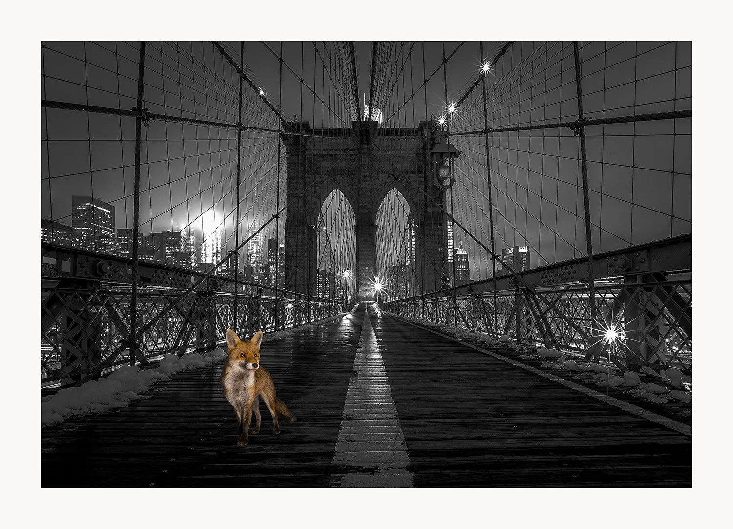 Fox on Brooklyn Bridge.