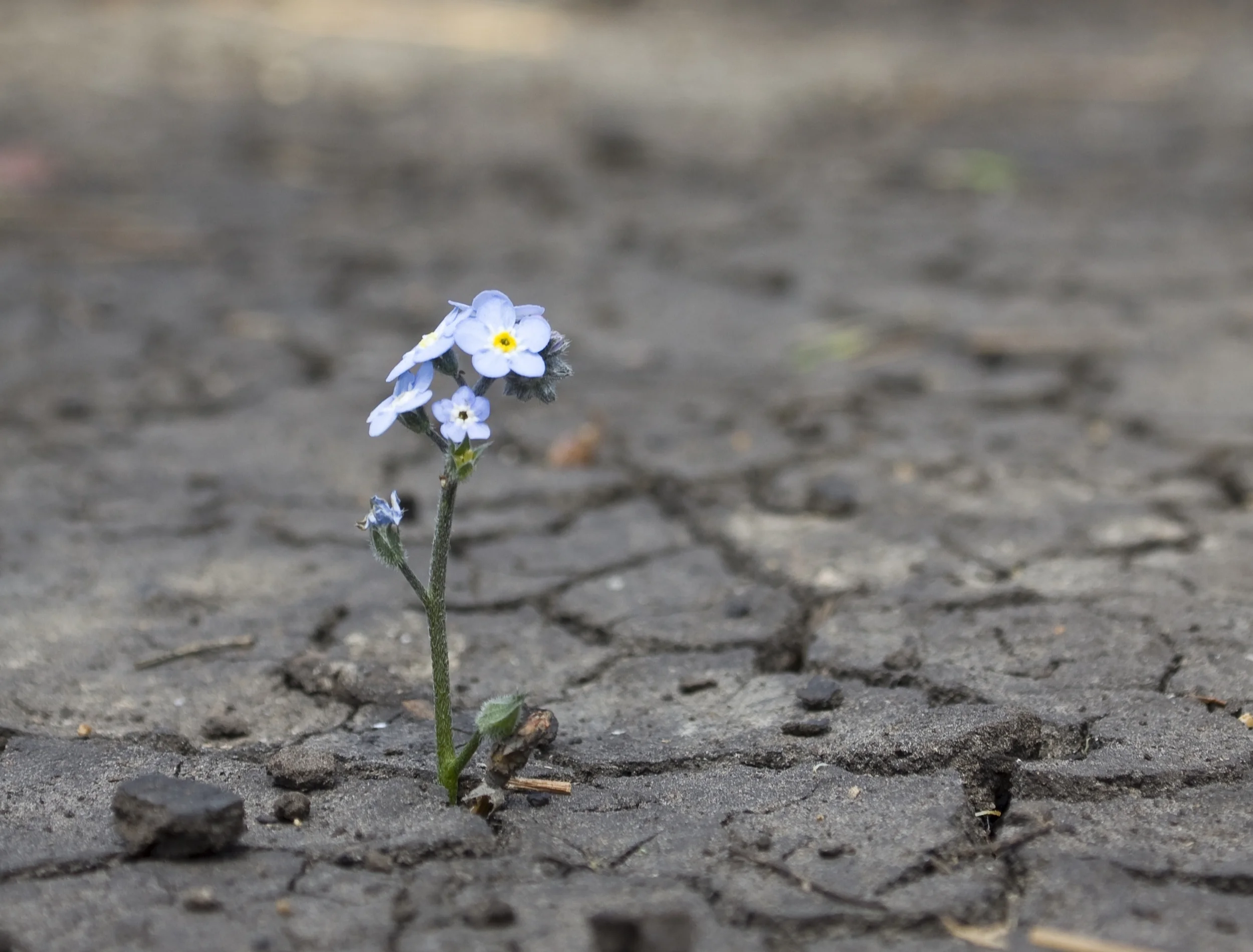 iStock_000019046461_Full.jpg