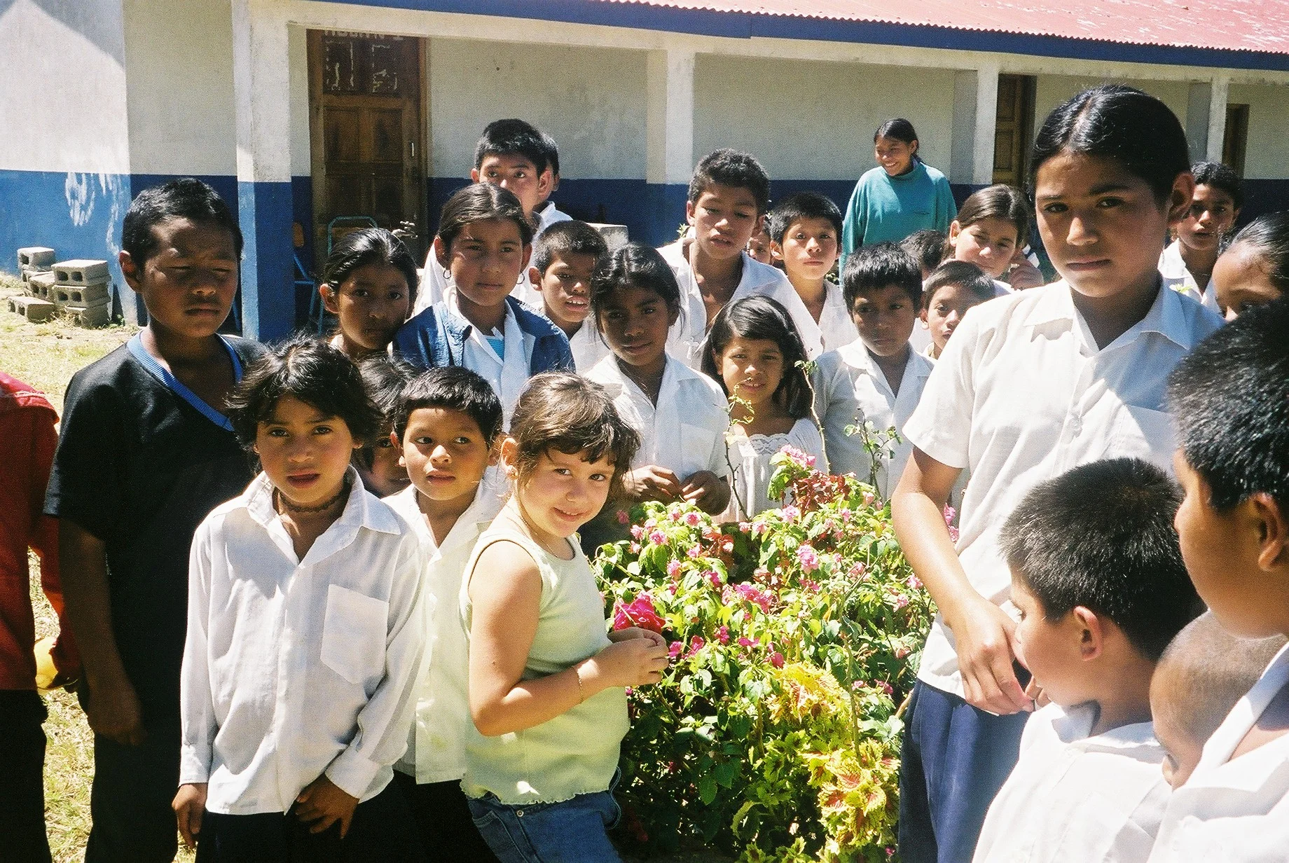 Planting for a Tomorrow