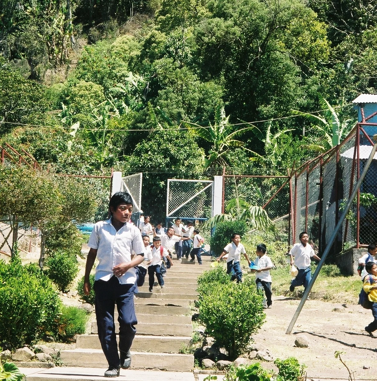 Education, Health and the Environment in 2011