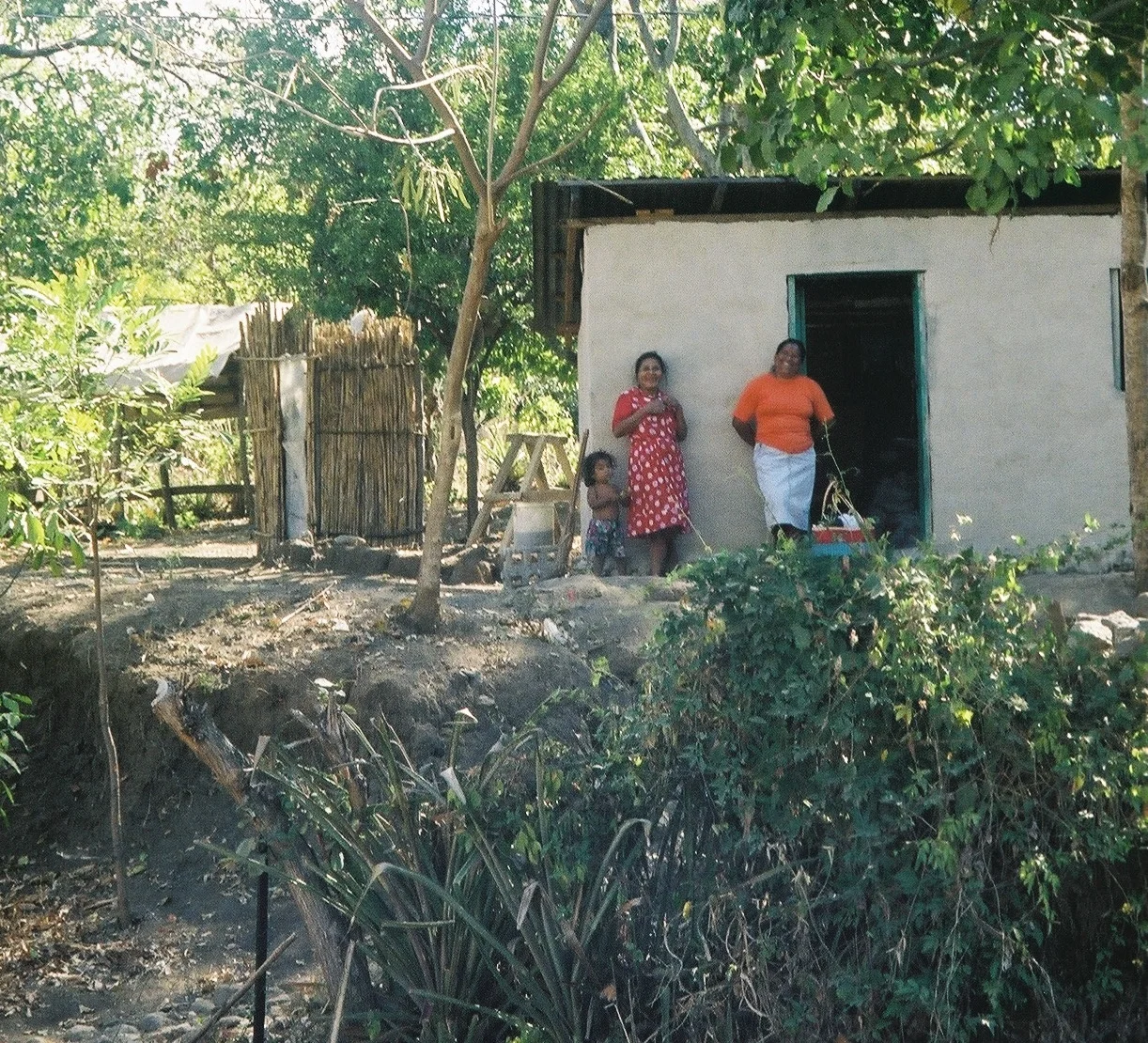 Sports,  Education and Environmental Protection in 2012